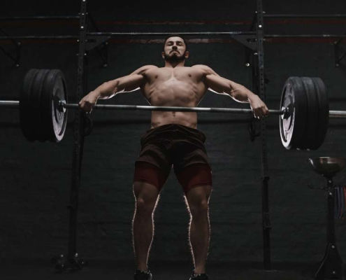 The Importance of Nutrition During Training and Muscle Building